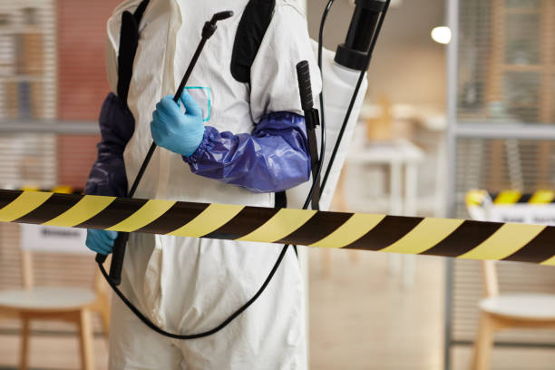 Professional Sewage Cleanup technician working in Driftwood, TX